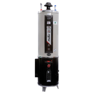 Fischer Hybrid (Electric Gas Geyser) 35 Gallon Deluxe